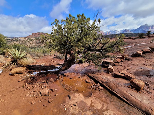 Cathedral Rock Trail 2
