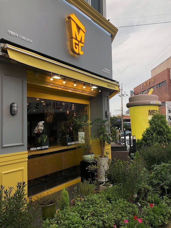 Mega MGC Coffee Jeju Docheong Branch 1