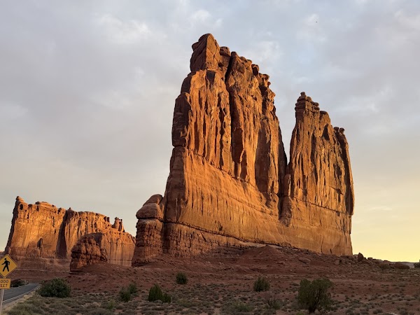 Courthouse Towers