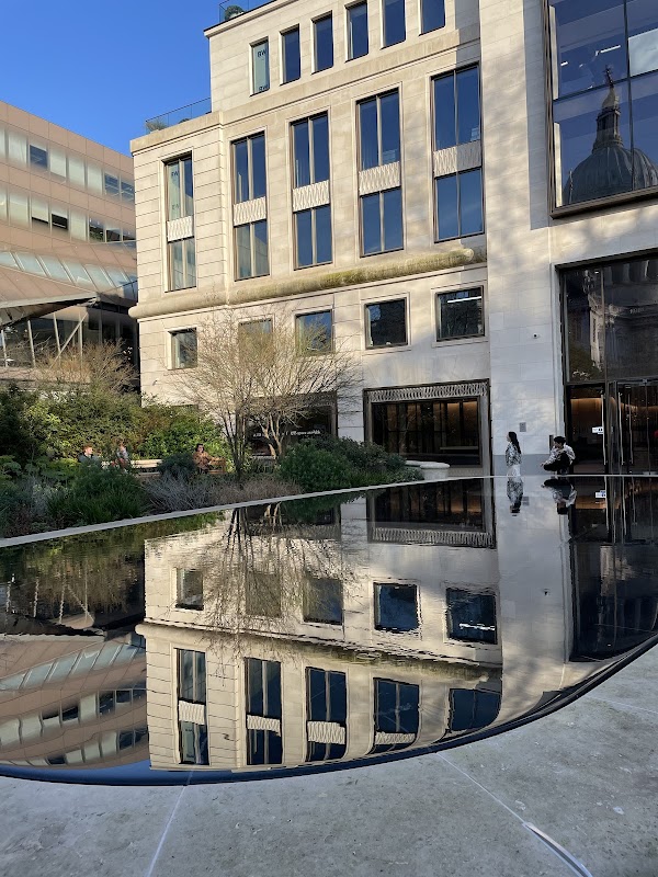 Reflection Garden 5