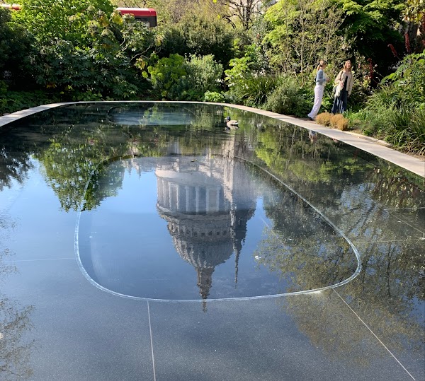 Reflection Garden 4