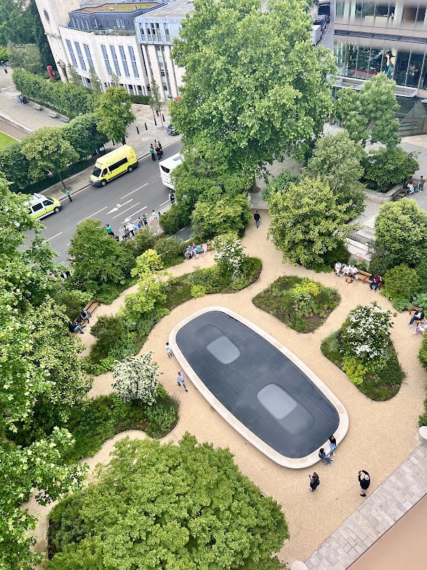 Reflection Garden 3