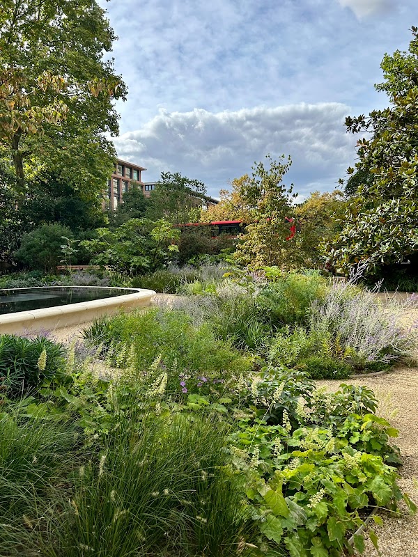 Reflection Garden 2