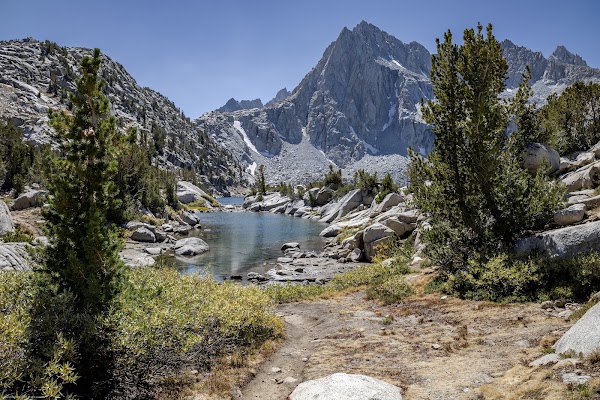 Hungry Packer Lake 5