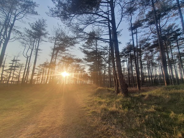 Pembrey Country Park