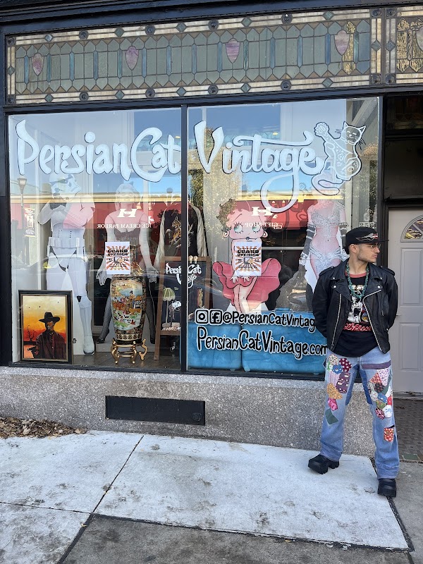Persian Cat Vintage