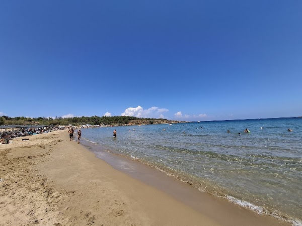Golden beach 3