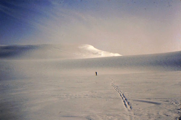 Austerdalsfjellet 1
