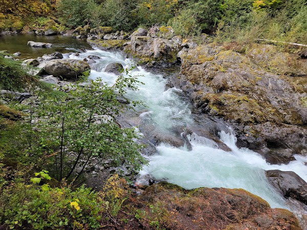 Salmon Cascades