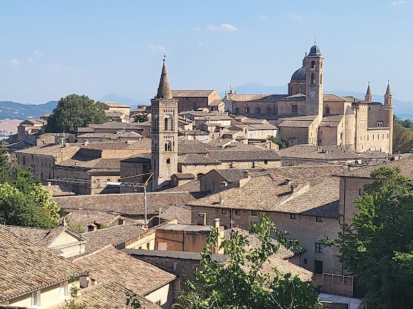 Urbino 1