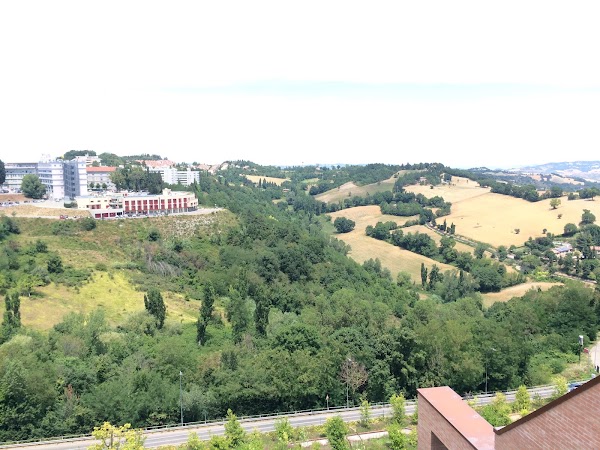 Urbino 2