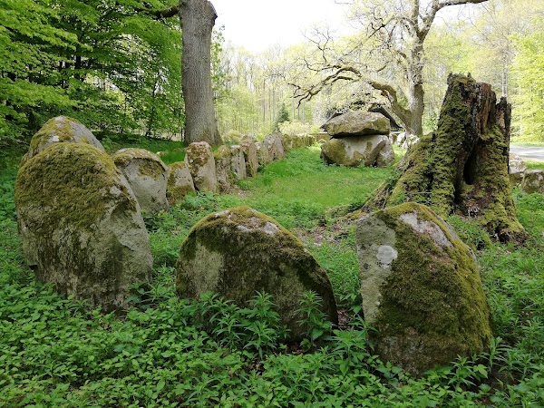 Langdysse i Vinskoven