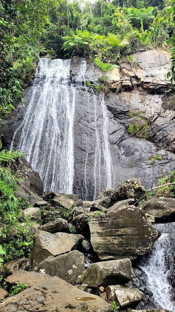 La Mina Recreation Area 1