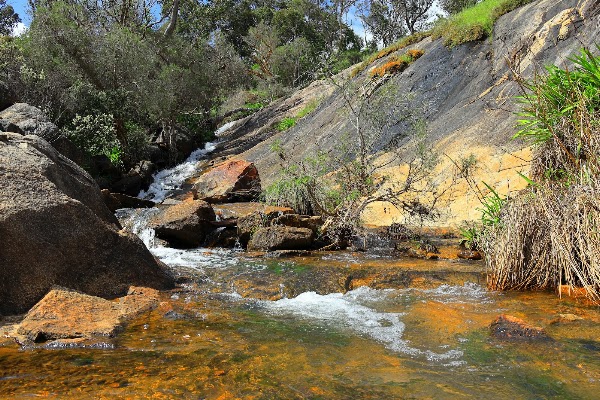 Whistlepipe Gully Trailhead - Forrestfield 5