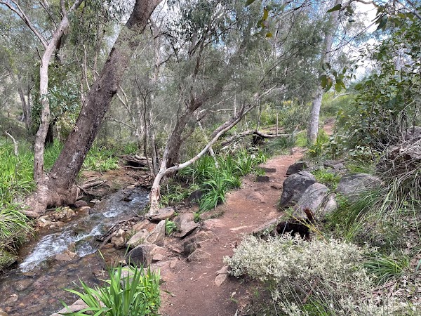 Whistlepipe Gully Trailhead - Forrestfield 4