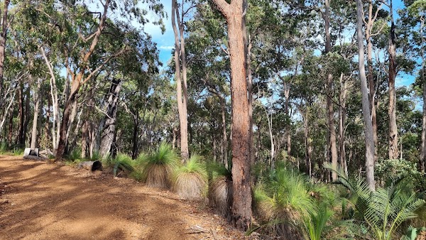Whistlepipe Gully Trailhead - Forrestfield 3