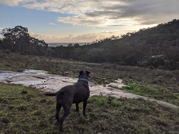 Whistlepipe Gully Trailhead - Forrestfield 2