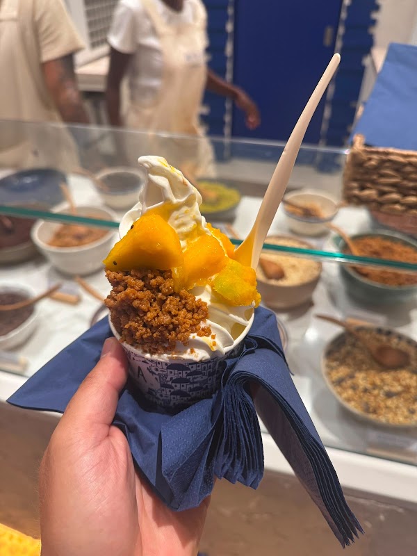 Myka Greek Frozen Yogurt 5