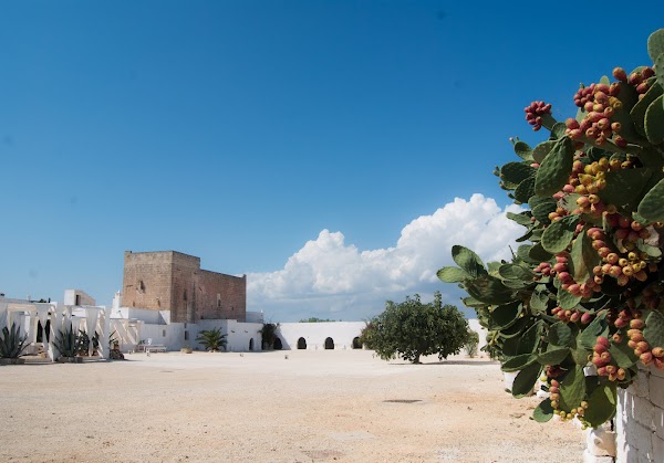 Masseria Potenti 2