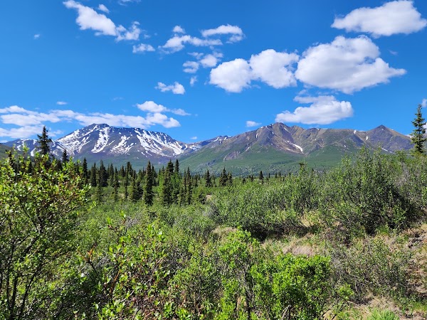 Tombstone Campground 5