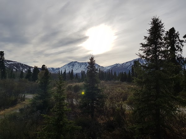 Tombstone Campground 4
