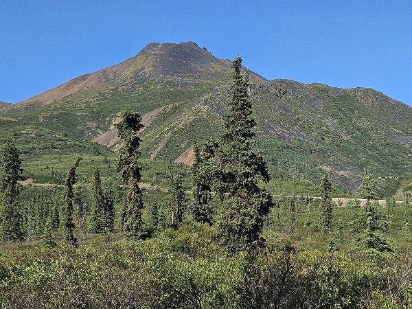 Tombstone Campground 3