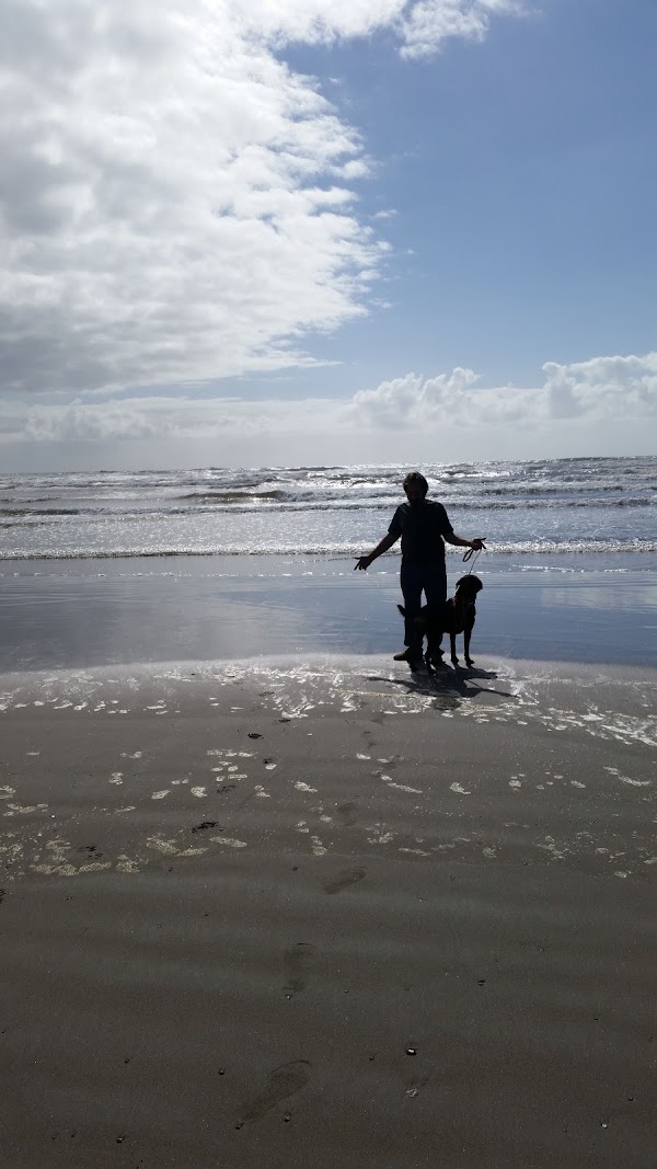 Ocean Shores Beach 4