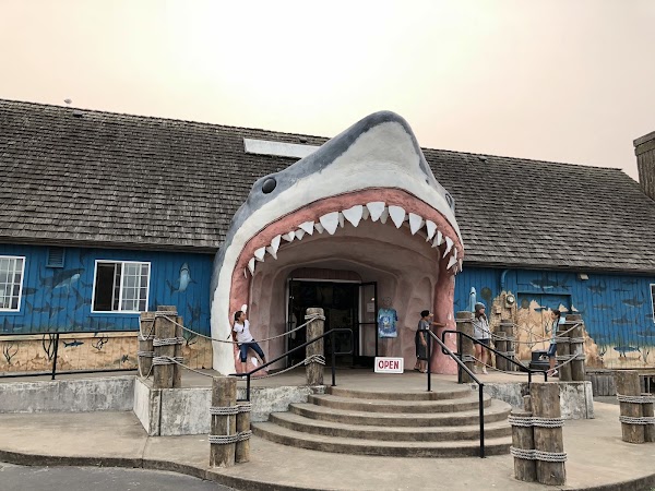 Ocean Shores Beach 3