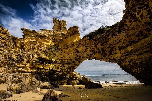 The Cove Cave