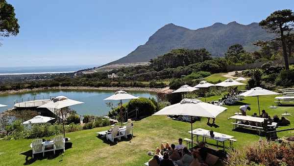 Cape Point Vineyards