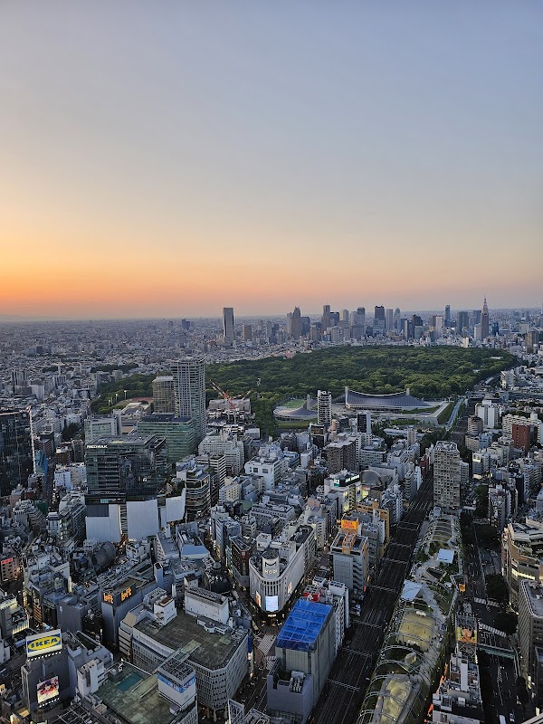 Shibuya Sky 3