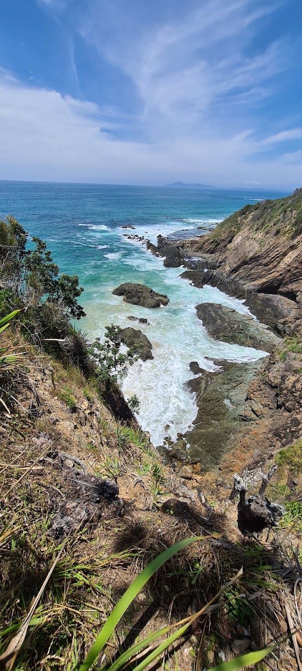 Black Head Beach