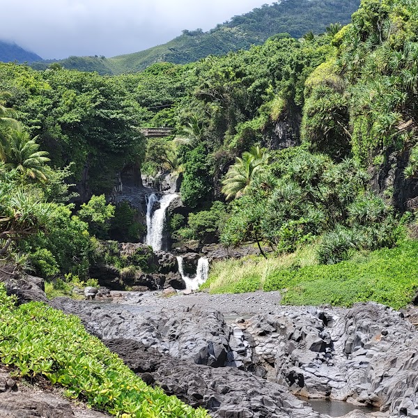 Hawaii 24