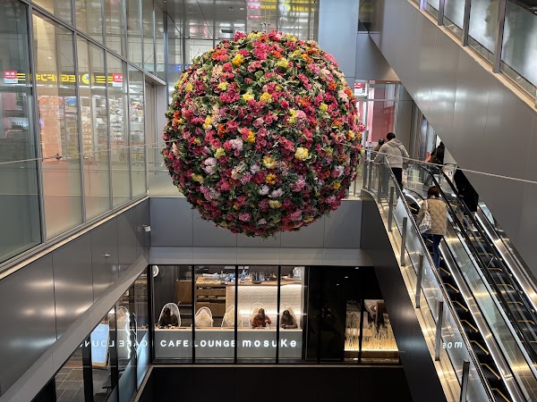 moyuk SAPPORO 4
