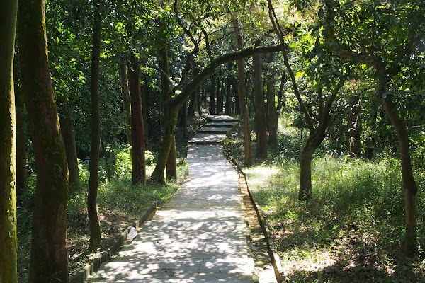 Huangshanlu Forest Park （West Gate）