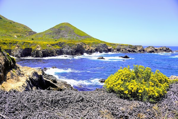 Soberanes Point 1