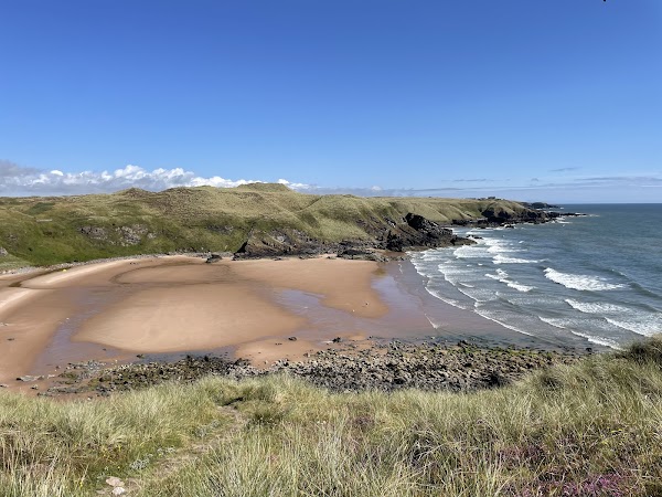 Forvie National Nature Reserve 1