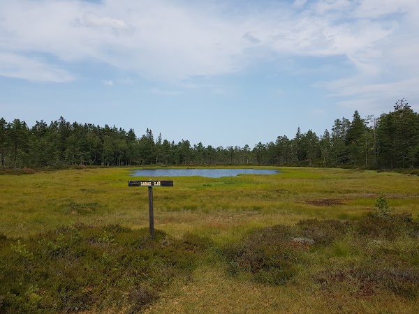 Gyllbergen 1