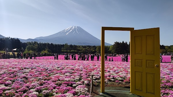 Japan trip 16