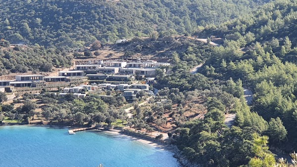 Cennet Koyu