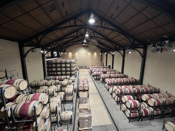 Trinchero Napa Valley Winery 4