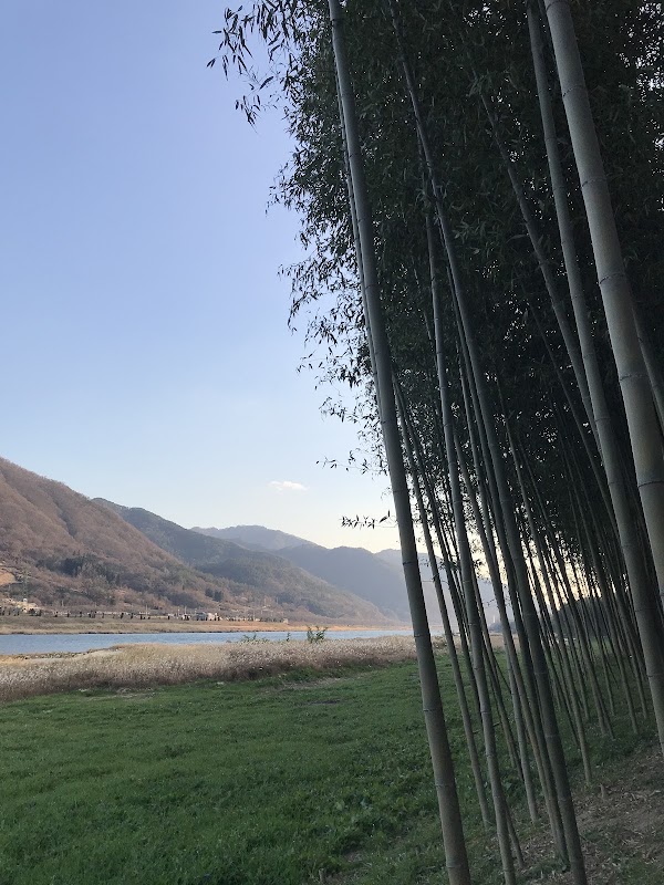 Seomjingang Bamboo Forest Trail 5