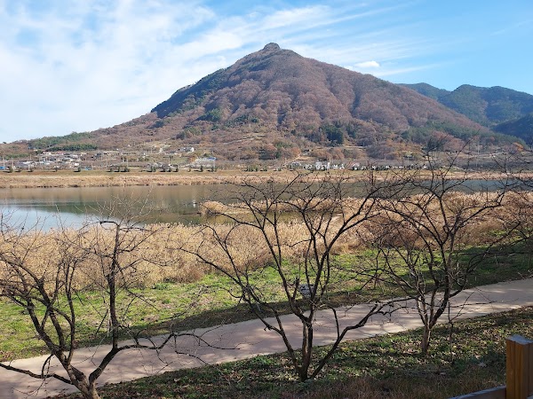 Seomjingang Bamboo Forest Trail 3