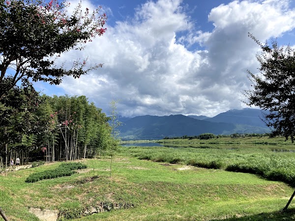 Seomjingang Bamboo Forest Trail 2