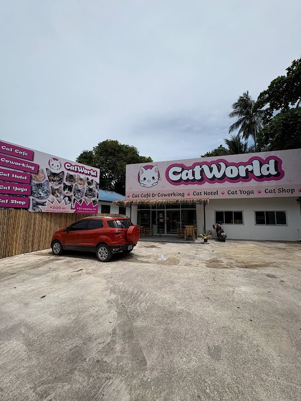 Koh samui 1