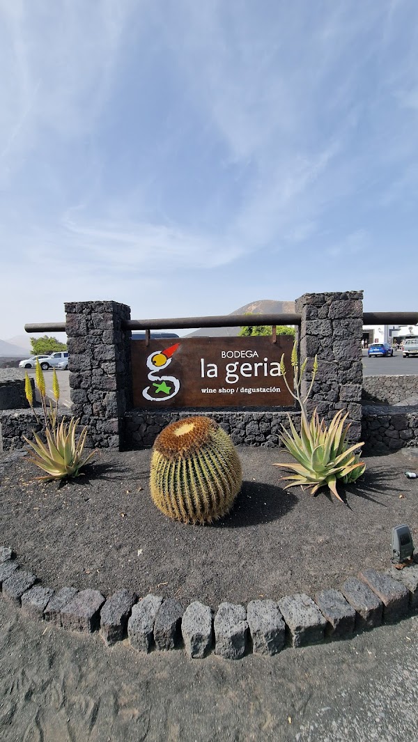 Bodega La Geria 4