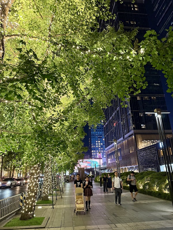 Chunxi Road 5