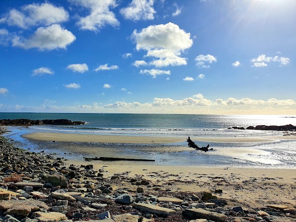 Portavogie Bay Beach 1