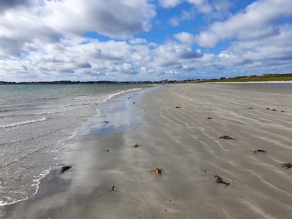 Portavogie Bay Beach 5