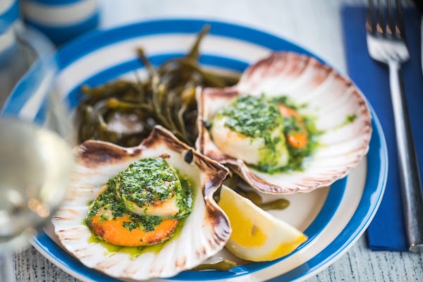 The Scallop Shell 5